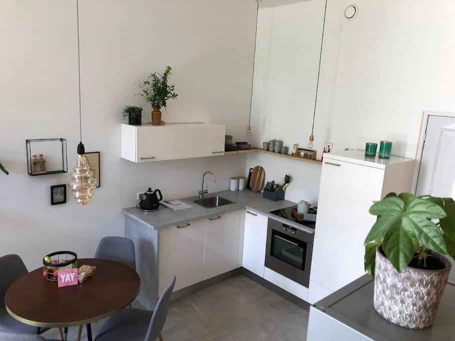 Luxurious Appartement With Sauna And Kitchen In Center Of Dordrecht Buitenkant foto